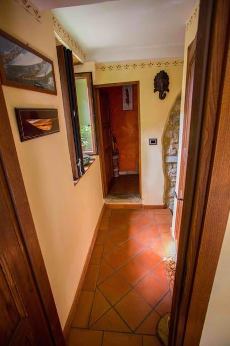 The House Of Gostina