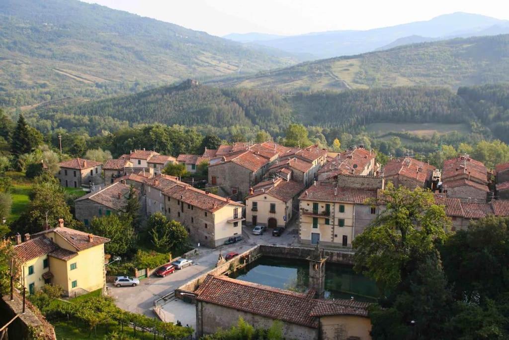 The House Of Gostina *